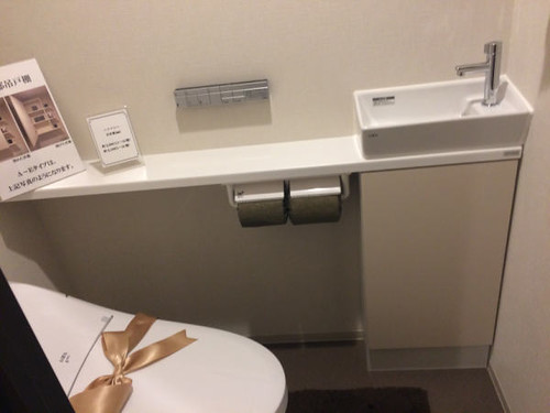 こちらが、手洗いカウンター付きのトイレで...