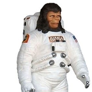 Astronaut Ape images