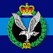 badge_aac • <a style="font-size:0.8em;" href="http://www.flickr.com/photos/96606400@N06/9135716548/" target="_blank">View on Flickr</a>