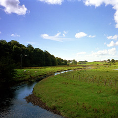 Muirkirk Landscape