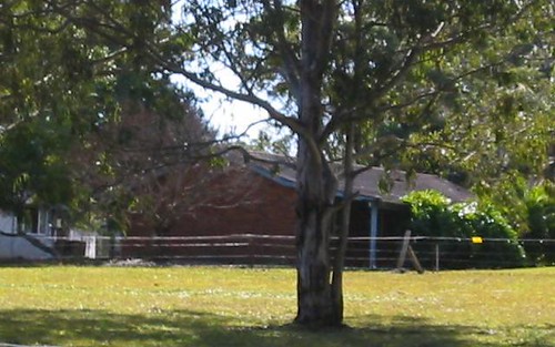 144 Kenwood Drive, Lake Cathie NSW