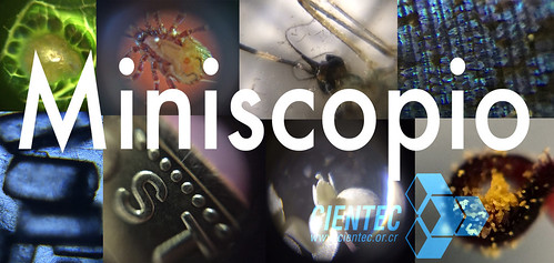 Miniscopio-logo