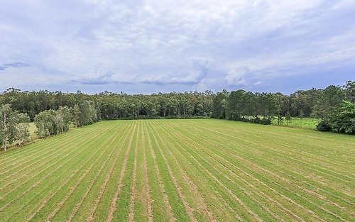 54a Lisadell Road, Medowie NSW 2318