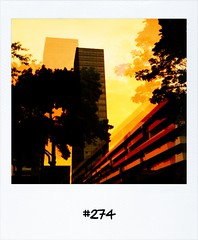#DailyPolaroid of 20-6-13 #274 • <a style="font-size:0.8em;" href="http://www.flickr.com/photos/47939785@N05/9166289328/" target="_blank">View on Flickr</a>