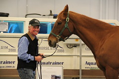 Mike at the Saddle Fitting Workshop with Todd Bailey