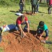 Highland_Renaissance_Tree_Planting_Event_2017 (37)