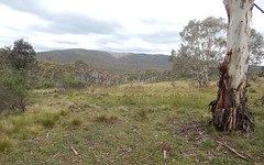 Lot 110 Dangelong Rd, Cooma NSW