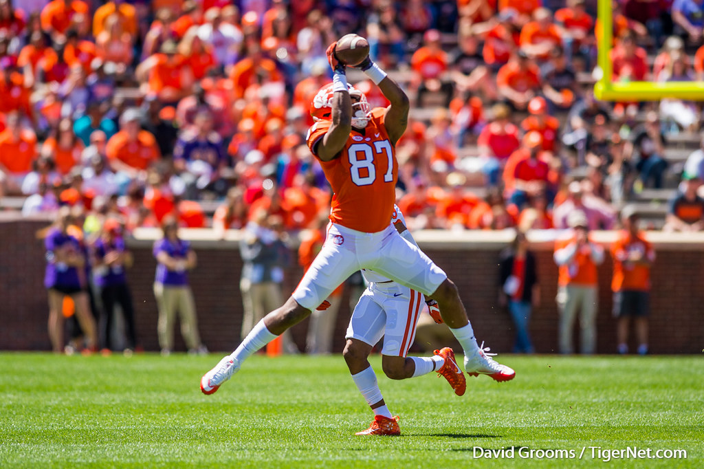 Clemson Football Photo of djgreenlee and springgame