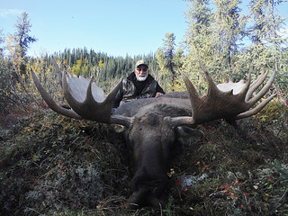Alaska Dall Sheep Hunt & Moose Hunt 10