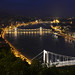 The Danube at Night