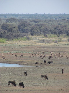 Namibia Luxury Hunting Safari 42