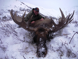 Alaska Dall Sheep Hunt & Moose Hunt 16