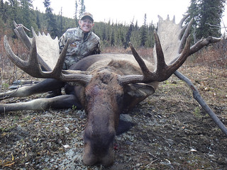 Alaska Dall Sheep Hunt & Moose Hunt 25