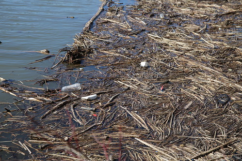 Potomac River Watershed Clean Up • <a style="font-size:0.8em;" href="http://www.flickr.com/photos/117301827@N08/13646589644/" target="_blank">View on Flickr</a>