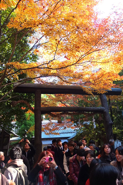 京都 野宮神社