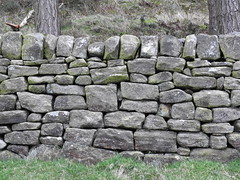 Anglų lietuvių žodynas. Žodis dry-stone wall reiškia sauso akmens sienos lietuviškai.