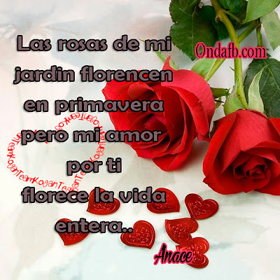 Frase Bonita Para Enamorar Con Fondo De Rosas A Photo On Flickriver
