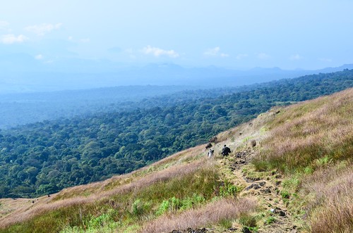 Climbing Mount Cameroon