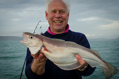 Mike Hansell - 4.28lb Whiting • <a style="font-size:0.8em;" href="http://www.flickr.com/photos/113772263@N05/12965988685/" target="_blank">View on Flickr</a>