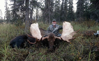 Alaska Moose and Bear Hunt - Dillingham 37