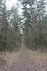 Wanderung Treptower Park - Alt-Köpenick • <a style="font-size:0.8em;" href="http://www.flickr.com/photos/25397586@N00/33265608271/" target="_blank">View on Flickr</a>