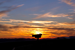 Silhouette of scope at sunset • <a style="font-size:0.8em;" href="http://www.flickr.com/photos/30765416@N06/11141347005/" target="_blank">View on Flickr</a>