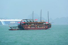 halongbay (15 von 127) • <a style="font-size:0.8em;" href="http://www.flickr.com/photos/89298352@N07/9686393873/" target="_blank">View on Flickr</a>
