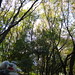 Durant in Iruma, Saitama 19 (Sainomori Iruma Park)