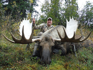 Alaska Dall Sheep Hunt & Moose Hunt 17