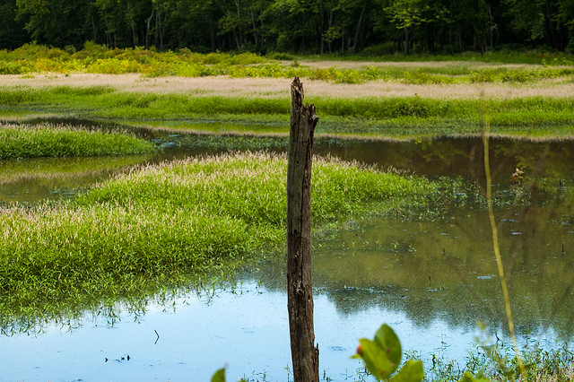 North Fork Waterfowl Resting Area - August 2013