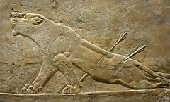 Lion Hunts of Ashurbanipal, dying Lioness (close)