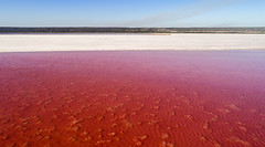 Hutt Lagoon_Pink Lake_Western Australia_0803