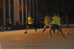 223 • <a style="font-size:0.8em;" href="http://www.flickr.com/photos/139076706@N05/33965342781/" target="_blank">View on Flickr</a>