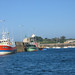 Port de Roscoff - port de pêche