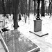 Cmentarz w Ościsłowie (3) • <a style="font-size:0.8em;" href="http://www.flickr.com/photos/115791104@N04/13983429024/" target="_blank">View on Flickr</a>