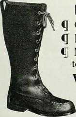Anglų lietuvių žodynas. Žodis wellington boot reiškia wellington įkrovos lietuviškai.