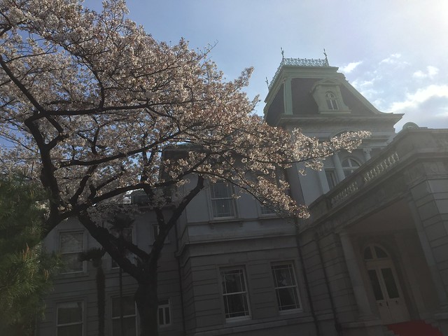 旧竹田宮邸の桜もまだ散っていなかった。こ...