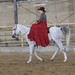 Bronze Ladies Side Saddle ACh Sissi Chat & Legat AUT 3617