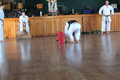 shodan grading 2014 037 • <a style="font-size:0.8em;" href="http://www.flickr.com/photos/125079631@N07/14162249979/" target="_blank">View on Flickr</a>