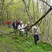 Visite de la forêt d'Aurillac et assemblée générale du groupement forestier Avenir Forêt