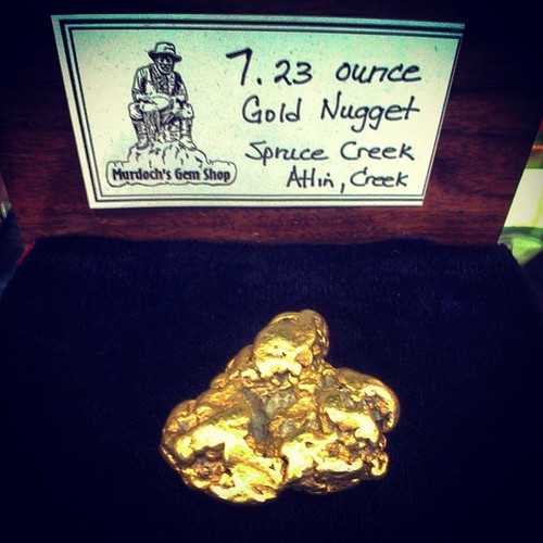 This gold nugget at Murdoch's is selling for $20,000 - and would be worth more if it didn't have flecks of quartz in it #yxy #yukon