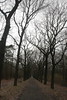 Wanderung Treptower Park - Alt-Köpenick • <a style="font-size:0.8em;" href="http://www.flickr.com/photos/25397586@N00/32550325264/" target="_blank">View on Flickr</a>