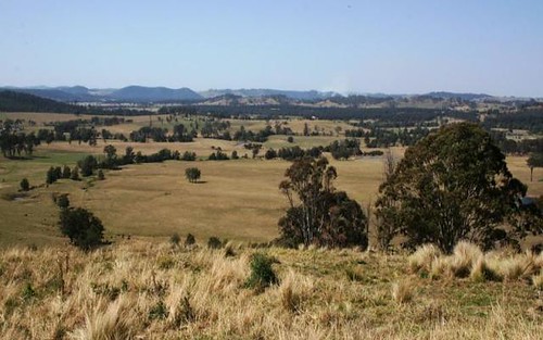 Lots 2,4,8 1397 Dungog Road, Dungog NSW