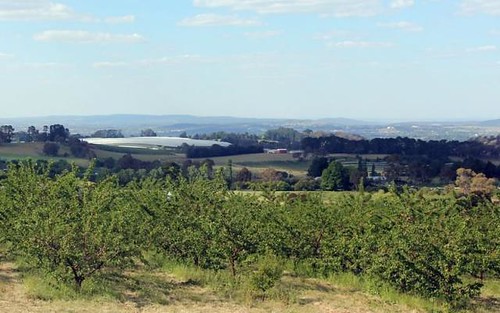 Sunnycrest Orchards Wallace Lane, Glenroi NSW