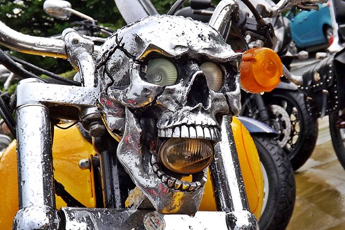 GOP Skull, From FlickrPhotos