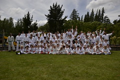 Karate Camp 012 • <a style="font-size:0.8em;" href="http://www.flickr.com/photos/125079631@N07/14311565356/" target="_blank">View on Flickr</a>