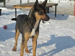 12791_ZIMPA