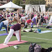 Spring Yoga Festival'14 • <a style="font-size:0.8em;" href="http://www.flickr.com/photos/95967098@N05/14033823839/" target="_blank">View on Flickr</a>