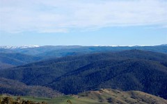 Lot 2 Stage 2 High Forest Road, Omeo VIC