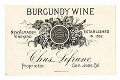 Anglų lietuvių žodynas. Žodis burgundy wine reiškia bordo vyno lietuviškai.